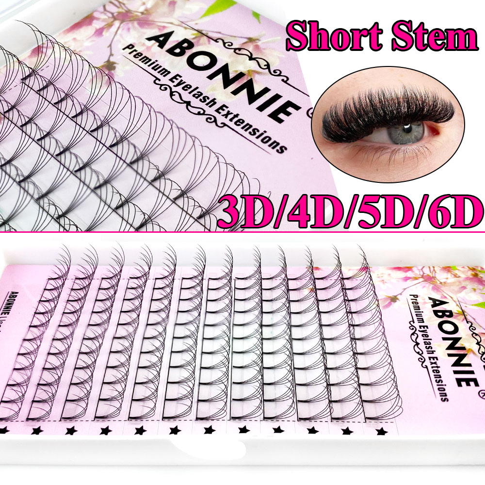 Abonnie 6D Narrow Fan Premade  - Eyelash Extension Russian avaliação e preço